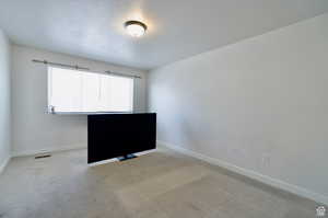 Unfurnished room featuring a textured ceiling and light colored carpet