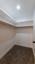 Walk in closet with carpet flooring