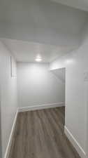 Basement featuring dark hardwood / wood-style floors