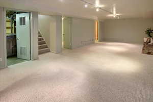 Basement with rail lighting and carpet flooring