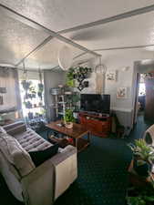 Living room with a textured ceiling and carpet floors