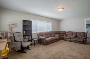 Carpeted living room