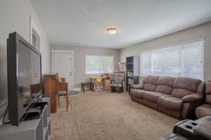 Living room featuring a light carpet