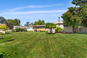 View of back yard