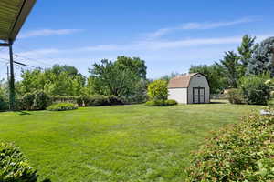 View of yard with a storage unit