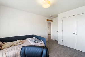 Bedroom featuring carpet floors and a closet