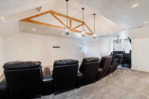 Cinema room featuring a wealth of natural light, vaulted ceiling, and carpet floors