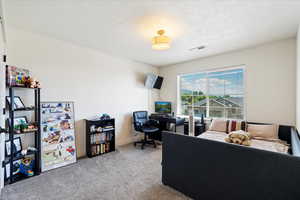 Office featuring a textured ceiling and light colored carpet