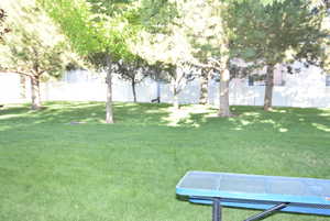 Grassy area behind patio area