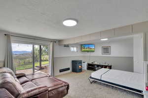 Carpeted bedroom with a mountain view, a wood stove, a textured ceiling, and access to exterior