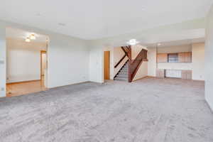 Basement family room