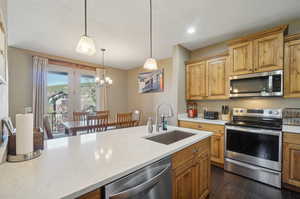 Kitchen featuring hanging light fixtures, stainless steel appliances, dark hardwood / wood-style flooring, a notable chandelier, and sink