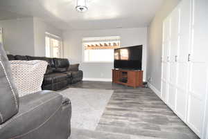 Basement family room with walk-out entry