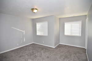 View of carpeted spare room