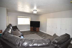 Basement family room with walk-out entry