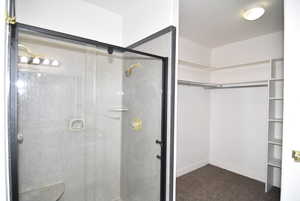 Bathroom featuring a shower with door