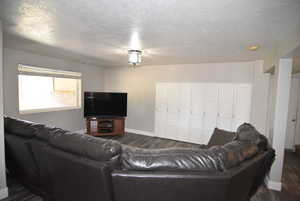 Basement family room  (daylight windows)