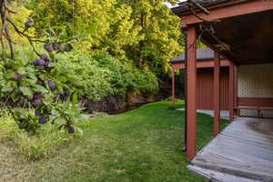 fully fenced backyard