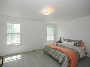 Master Bedroom - Upper Level