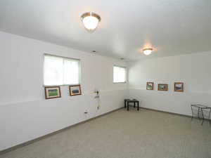 Large Family Room - Lower Level