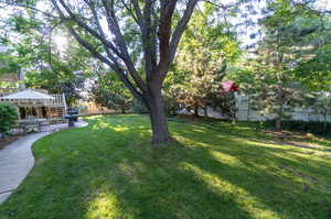 View of yard with a patio area