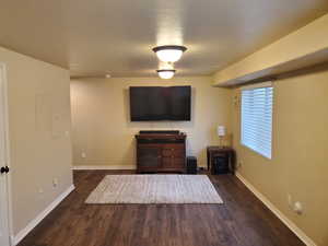 Basement Family Room