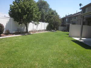 Common Area off Back Patio