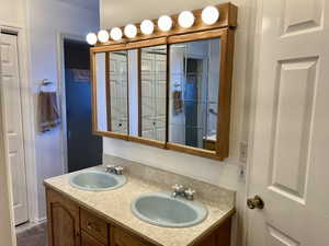 Owner's Suite Attached Bathroom with double sink vanity and shower