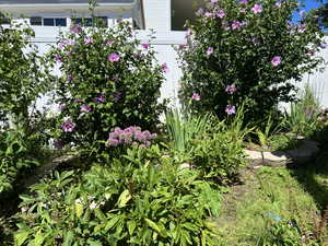 View of yard and flower garden