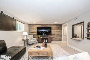 basement living room/TV room