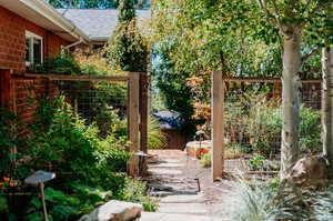 North side gate and landscaping