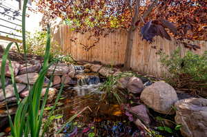 Pond and water feature