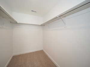 Spacious closet featuring carpet floors