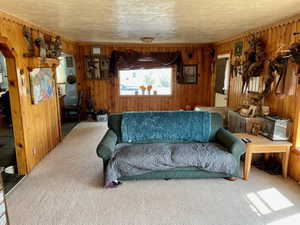 Carpeted living room featuring a textured ceiling and wooden walls