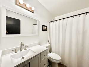 Bathroom with vanity, wood-type flooring, lofted ceiling, a shower with shower curtain, and toilet