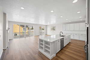 Kitchen with sink, dishwasher, dark hardwood / wood-style floors, white cabinetry, and an island with sink