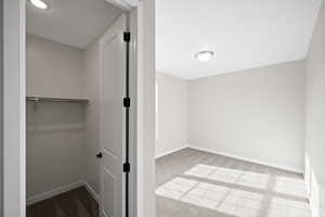 Walk in closet with light carpet