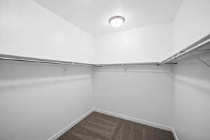 Spacious closet featuring carpet flooring