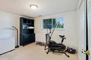 Workout area featuring a textured ceiling and light colored carpet