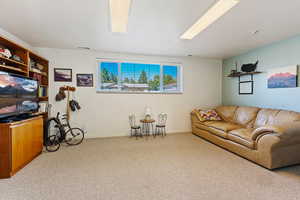 Living room featuring light colored carpet