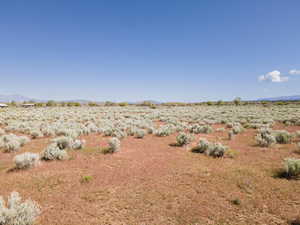 View of yard with a rural view