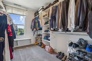 Walk in closet with carpet