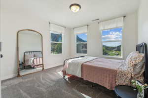 Bedroom with carpet flooring