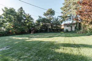 View of yard featuring a shed