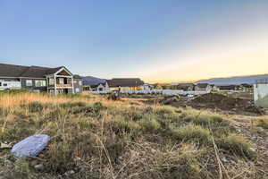 View of yard at dusk