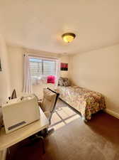 Bedroom featuring carpet floors