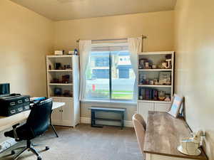 View of carpeted office