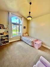 Carpeted bedroom featuring a textured ceiling and vaulted ceiling