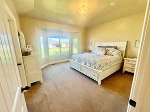 Carpeted bedroom featuring vaulted ceiling