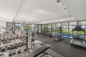 Exercise room featuring carpet floors and rail lighting